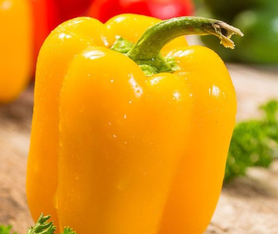 Yellow Bell Peppers: Everything You Need to Know About